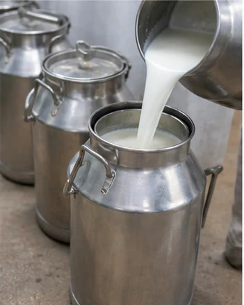 Milk Collection