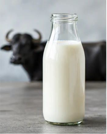 Buffalo Milk
